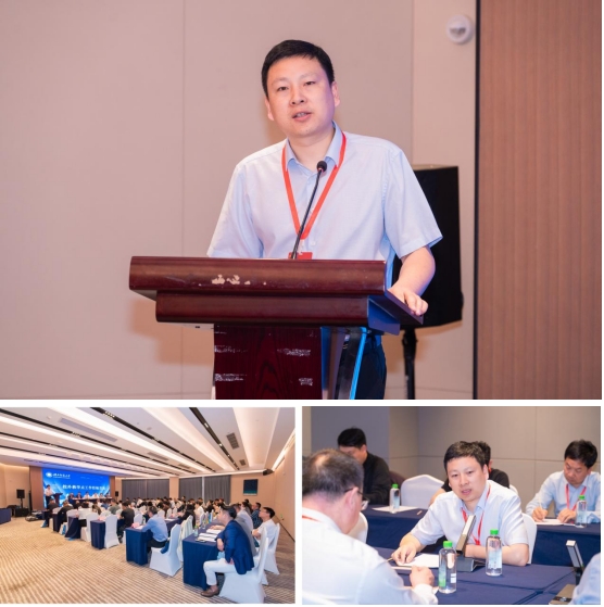 再添荣誉！我?；窈笔Ψ洞笱Ъ绦逃坝判憬萄У恪背坪?>
                            <div   id=